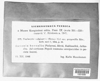Image Associated With the Occurence